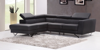 Leather Couch for LeaterProtect